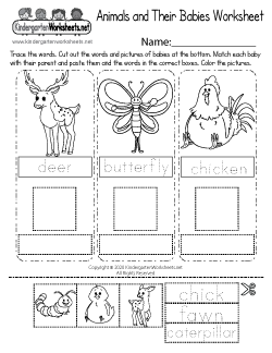 Animals and Their Babies Worksheet