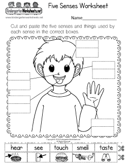 Picture Worksheet science  Science worksheets senses five Farm Kindergarten Animal 1 Worksheets