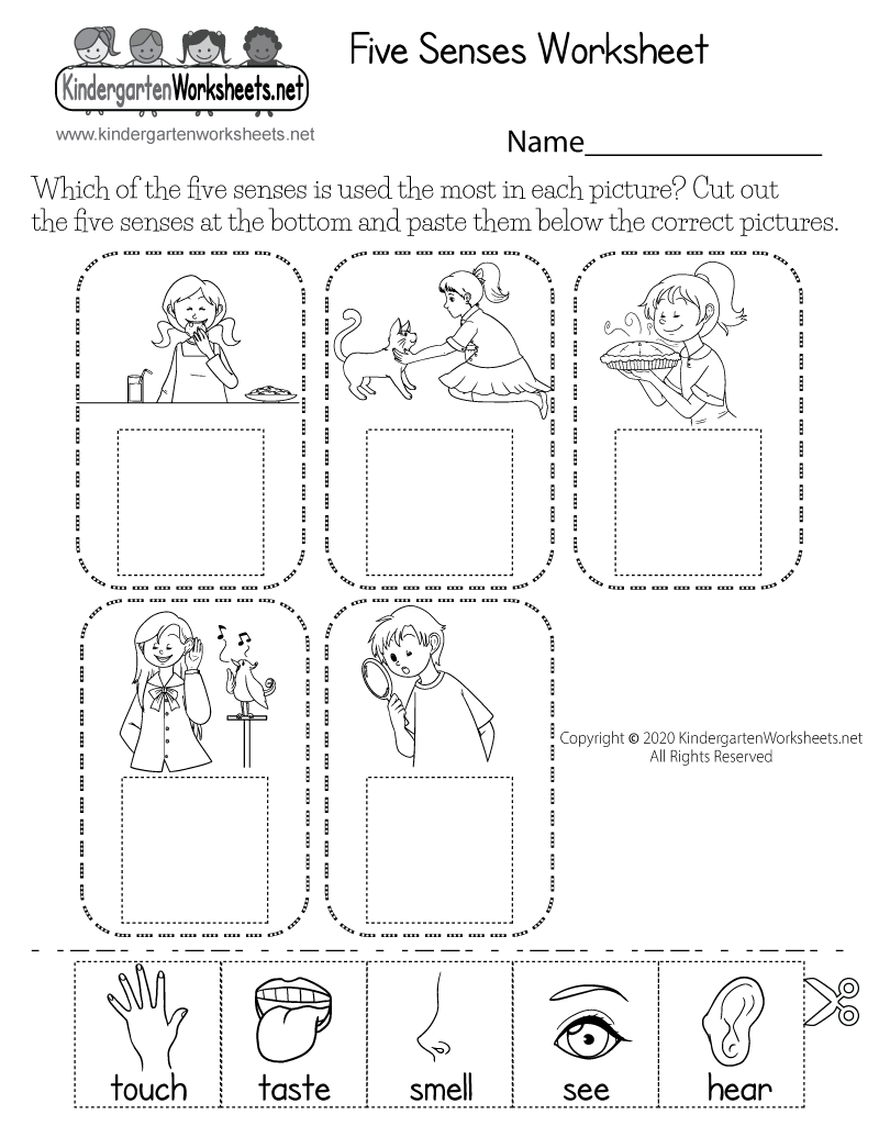 five-senses-worksheet-for-kids-free-kindergarten-learning-worksheet