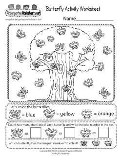 Butterfly Activity Worksheet