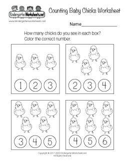 Counting Baby Chicks Worksheet