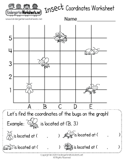Insect Coordinates Worksheet