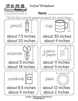 Inches Worksheet