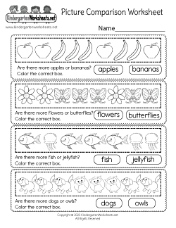 Picture Comparison Worksheet