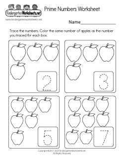 Prime Numbers Worksheet