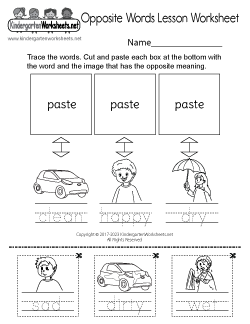 Opposite Words Lesson Worksheet