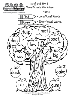 Long and Short Vowel Sounds Worksheet