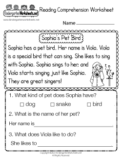 Reading Comprehension Worksheet