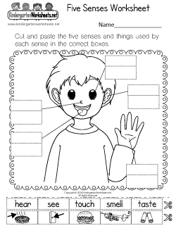 Free Kindergarten Science Worksheets Learning The Basics Of Science