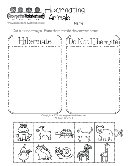 Hibernating Animals Worksheet