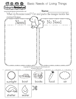 Basic Needs of Living Things Worksheet