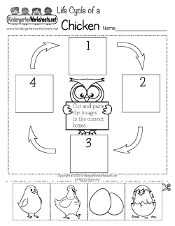 Free Kindergarten Science Worksheets Learning The Basics Of Science