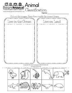 Animal Classification Worksheet