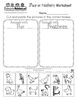 Fur or Feathers Worksheet