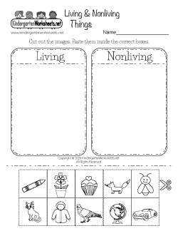 Living and Nonliving Things Worksheet