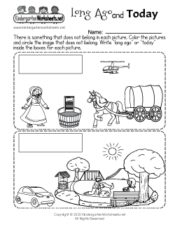 Social Studies Worksheet