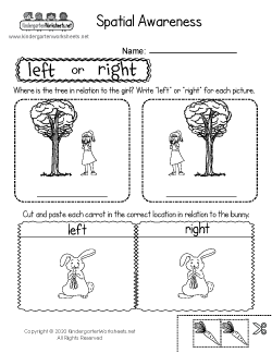 Spatial Concepts Worksheet