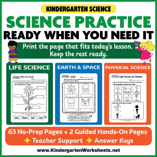 Kindergarten Science Practice cover with real Parts of a Flower, Weather, and Light Sources and Shadows student worksheet samples