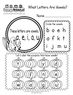 What Letters Are Vowels? Worksheet
