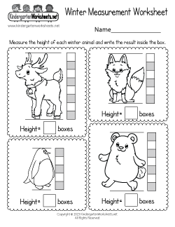 Winter Measurement Worksheet