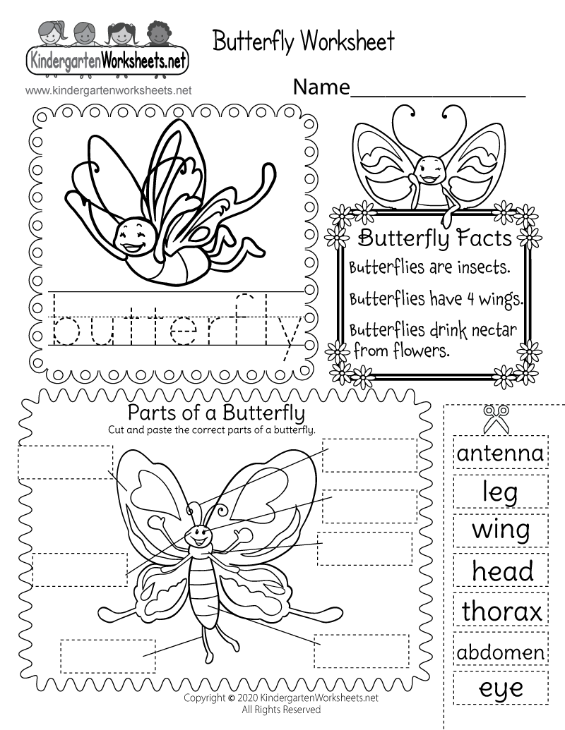 Parts Of A Butterfly Worksheet For Kids Cut And Paste Activity