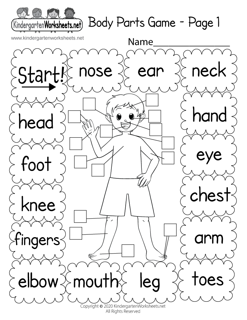 free-printable-body-parts-game-worksheet