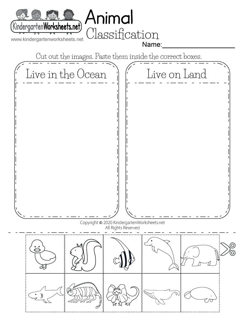 Animal Classification Worksheet for Kindergarten - Life Science For Animal Classification Worksheet Pdf