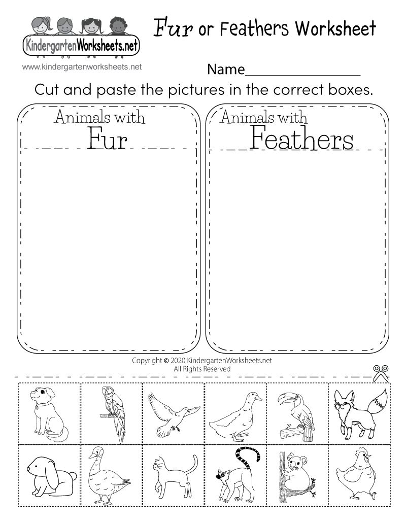 Fur or Feathers Worksheet for Kindergarten - Life Science For Animal Classification Worksheet Pdf